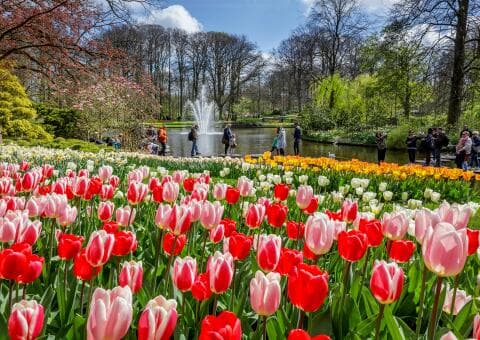 Blumenpark Keukenhof